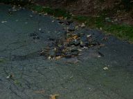 Crumbling Tar in the Sag Before